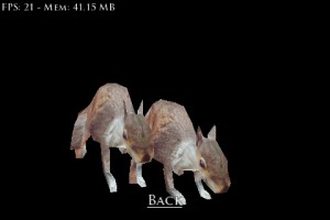 Two skinned squirrels exported with the Panda (.x format) from 3dsmax.  Slow!  One gets about 30 fps.