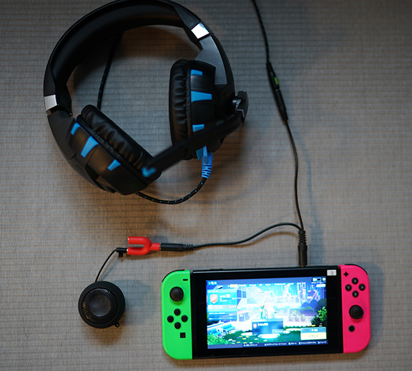 How to Voice Chat on Your Nintendo Switch (With a Phone)